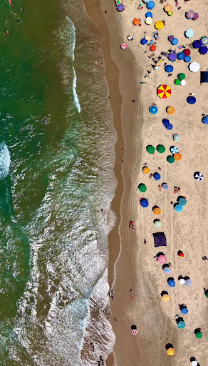 Vista aérea de área de lazer à beira-mar com piscinas e coqueiros
